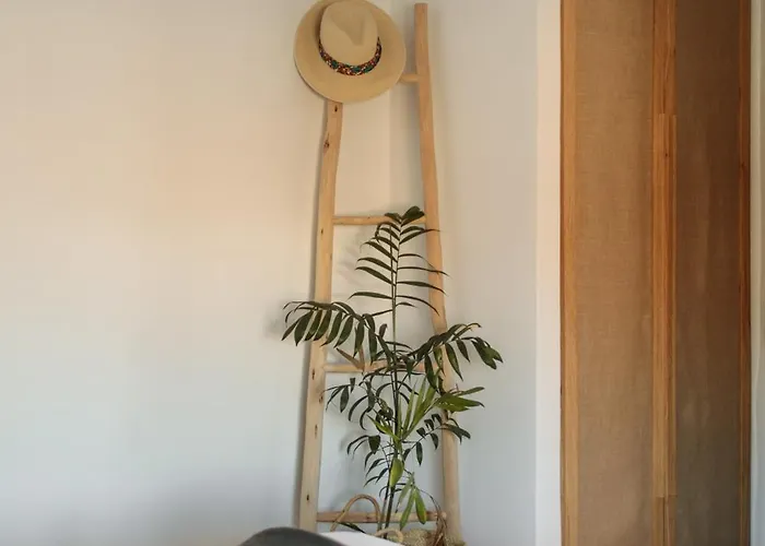 Anamnisis Вилла Плака