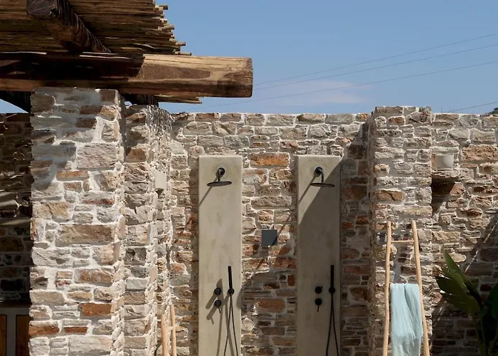 Anamnisis Плака